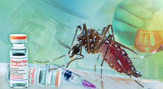 โรคติดต่อหน้าฝน