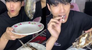 ปลาหมอคางดำ