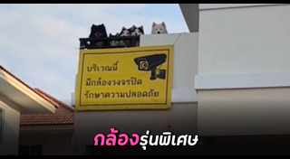 ไซบีเรียน ฮัสกี้