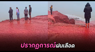 ปรากฏการณ์ทางธรรมชาติ