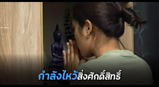 แมว