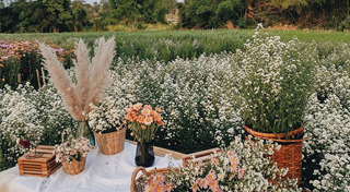 เที่ยวอุดรธานี