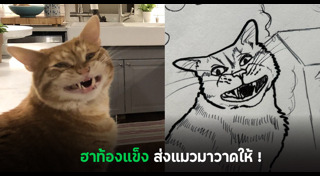 วาดรูป