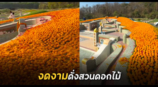 ครอบครัว