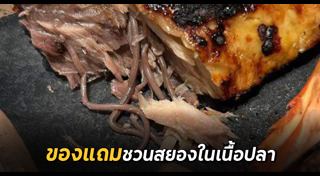 ปลาย่าง