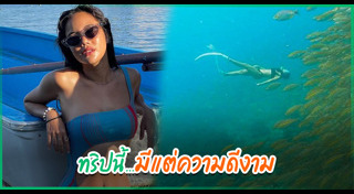 นท เดอะสตาร์