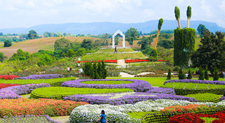 เที่ยววังน้ำเขียว