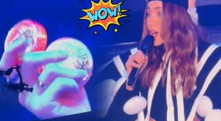 ปาล์มมี่