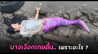 นางเงือก