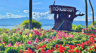 สวนดอกไม้