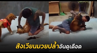 มวยปล้ำ