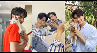 วิน เมธวิน