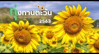 เส้นทางดอกไม้