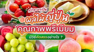 สินค้าญี่ปุ่น