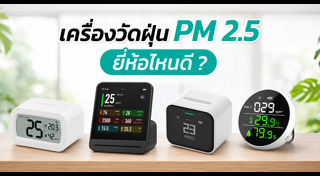 ฝุ่น PM2.5