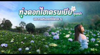 เส้นทางดอกไม้