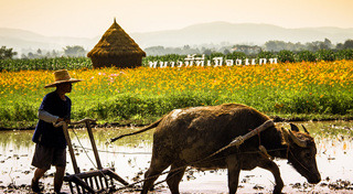 ที่เที่ยวเชียงใหม่