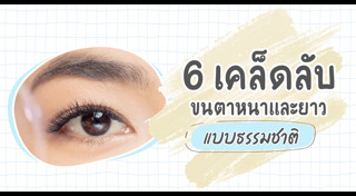 เคล็ดลับความงาม