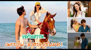 ไผ่ พาทิศ