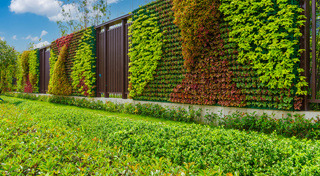 รั้วบ้าน