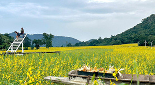 ที่เที่ยวหน้าหนาว