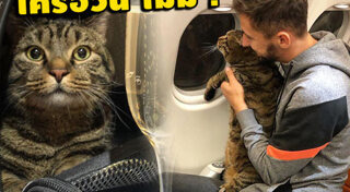 กฎระเบียบ