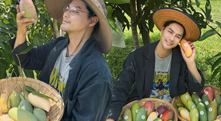 เพ็ชร ฐกฤต