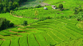 ที่เที่ยวหน้าร้อน