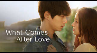 ซีรีส์ญี่ปุ่น