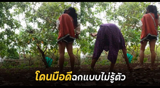 ขโมยมือถือ