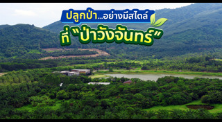 ป่าไม้