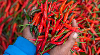 เคล็ดลับทำอาหาร