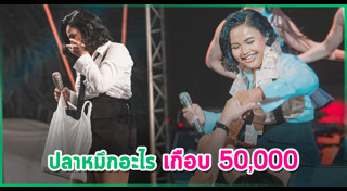 ตั๊กแตน ชลดา