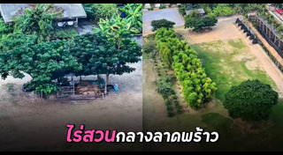 เลี้ยงสัตว์