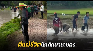 เกษตรกร