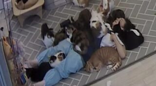 พนักงาน