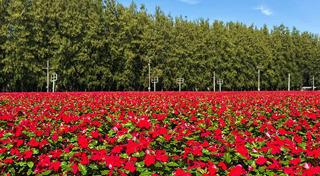 ที่เที่ยวปทุมธานี