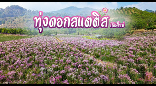 เส้นทางดอกไม้