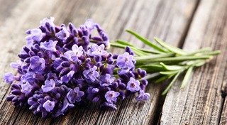 วิธีคลายเครียด