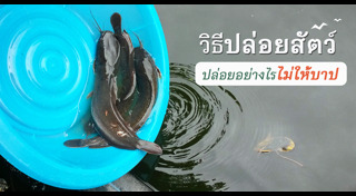 ปล่อยนก