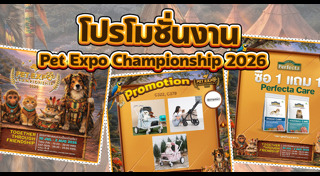 สัตว์เลี้ยง