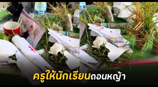 แปลงปลูกผัก