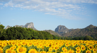 ที่เที่ยวเดือนธันวาคม