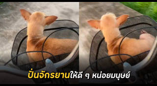 ปั่นจักรยาน