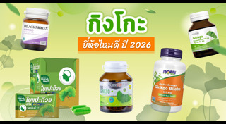 ใบแปะก๊วย