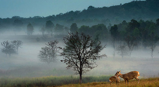 ที่เที่ยวชัยภูมิ