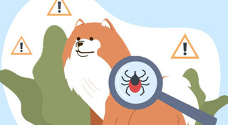 วิธีเลี้ยงสุนัข