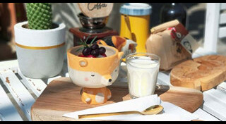 จานอาหาร