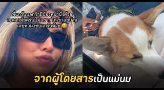 คอร์กี้