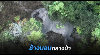 ภูกระดึง